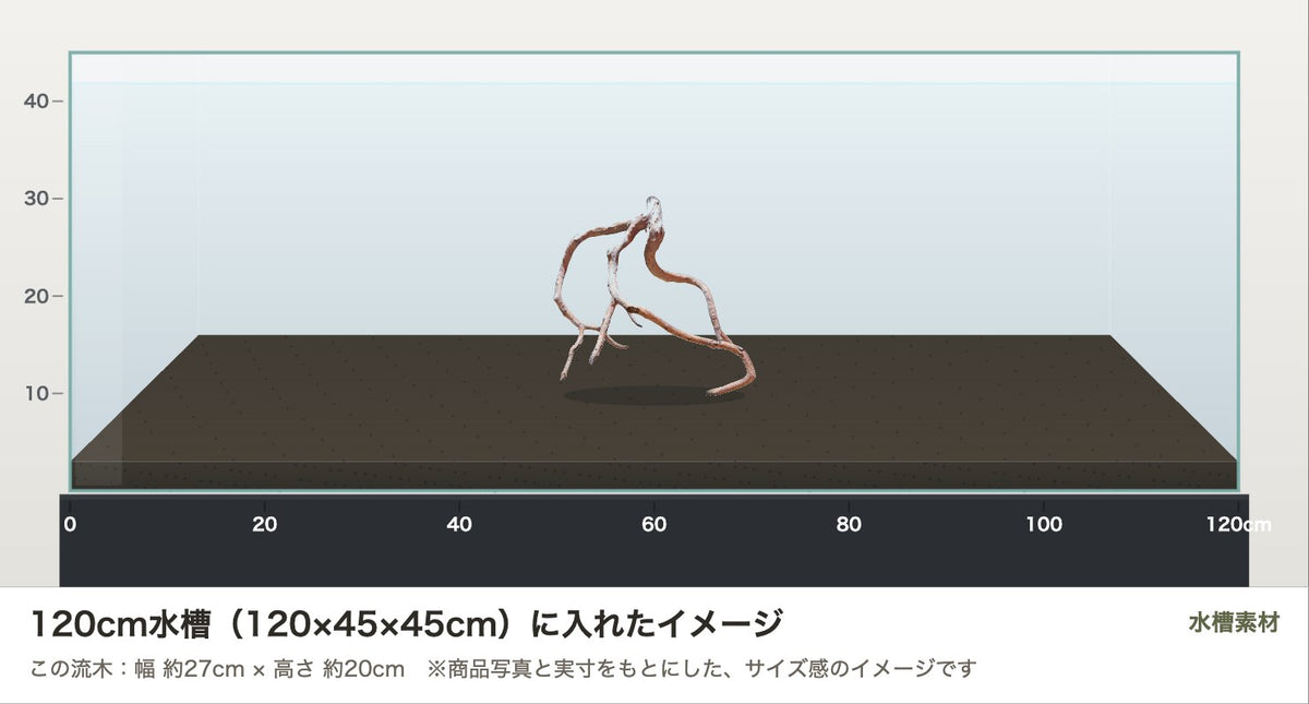 ネグロジャングルウッドL #021を120cm水槽（120×45×45cm）に入れたサイズ感のイメージ