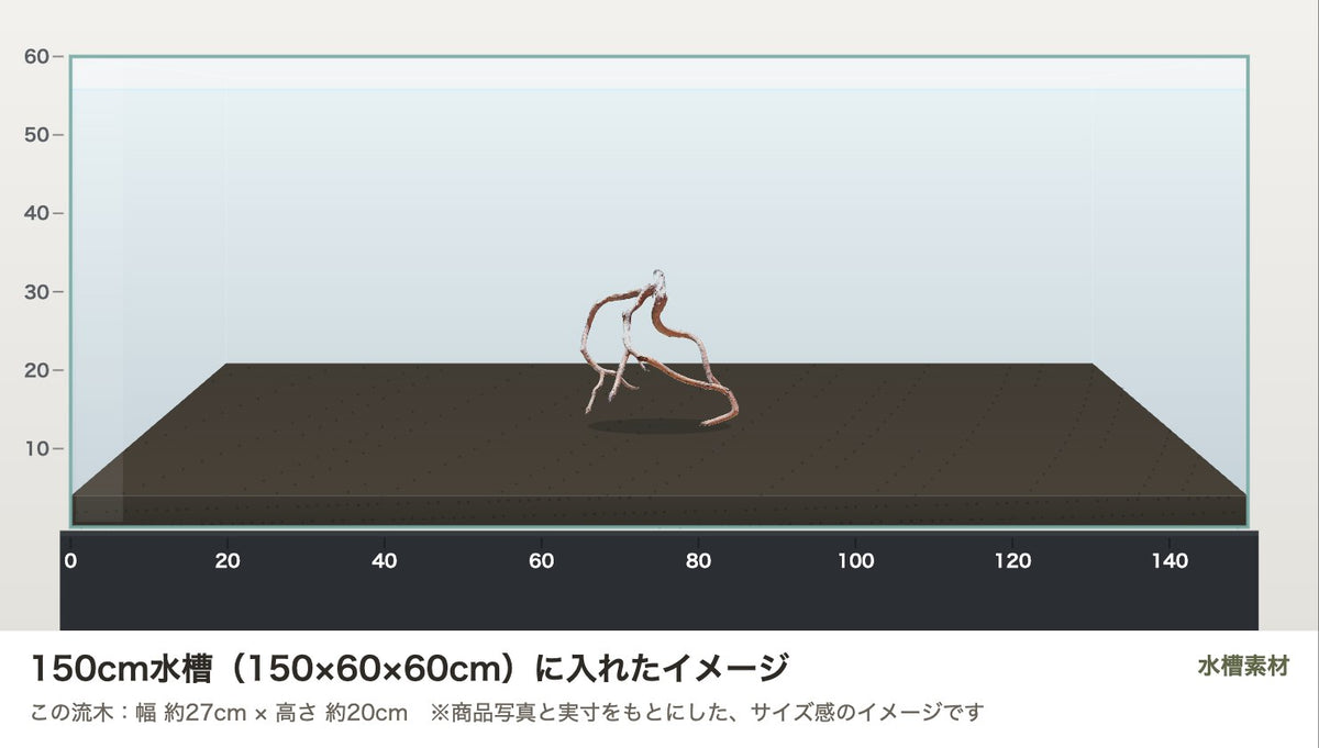 ネグロジャングルウッドL #021を150cm水槽（150×60×60cm）に入れたサイズ感のイメージ
