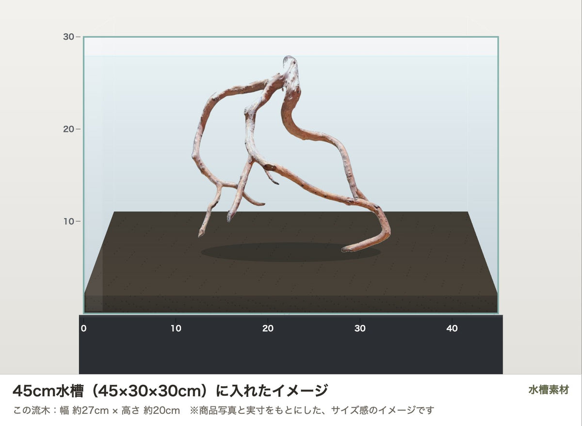 ネグロジャングルウッドL #021を45cm水槽（45×30×30cm）に入れたサイズ感のイメージ