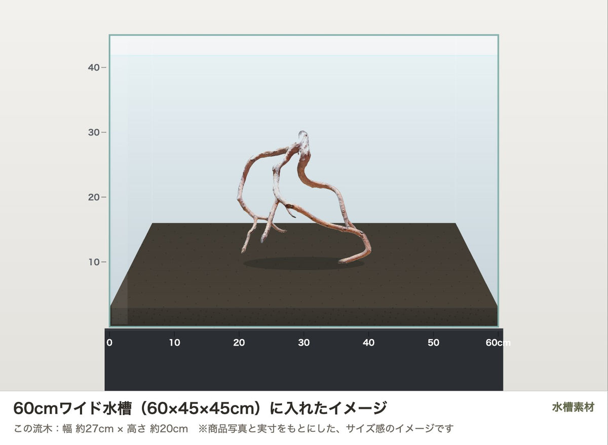 ネグロジャングルウッドL #021を60cmワイド水槽（60×45×45cm）に入れたサイズ感のイメージ