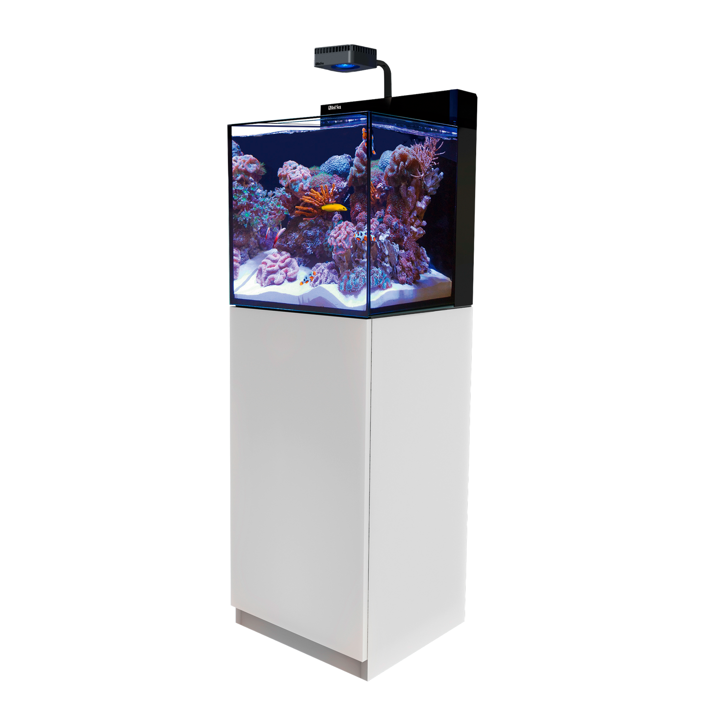 【水槽】レッドシー MAX NANO Cube G2 ホワイトセット (50HZ)