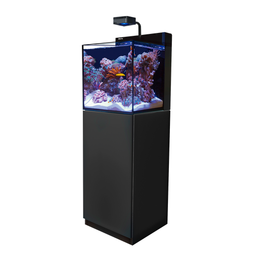【水槽】レッドシー MAX NANO Cube G2 ブラックセット (60HZ)