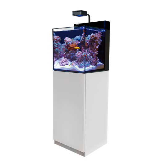 【水槽】レッドシー MAX NANO Cube G2 ホワイトセット (60HZ)