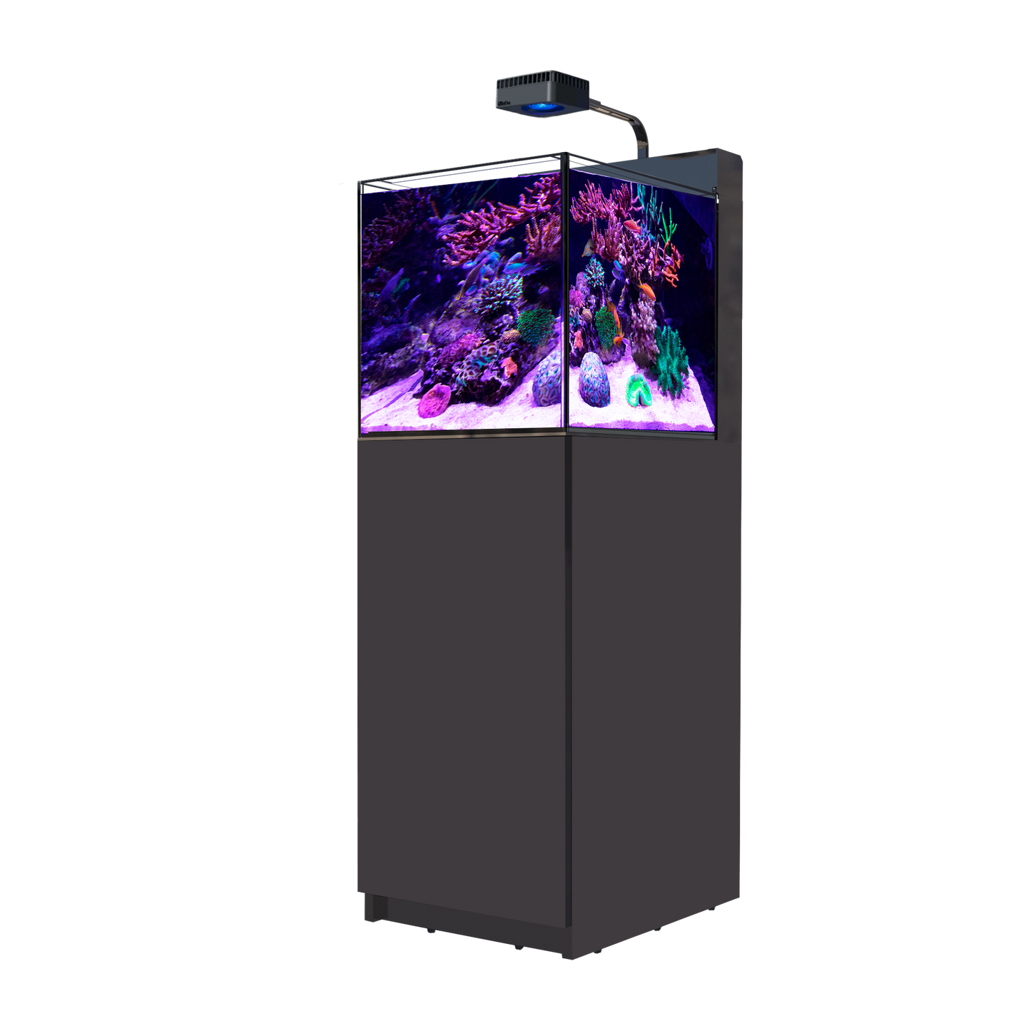 【水槽】レッドシー MAX NANO Peninsula G2 ブラックセット (60HZ)