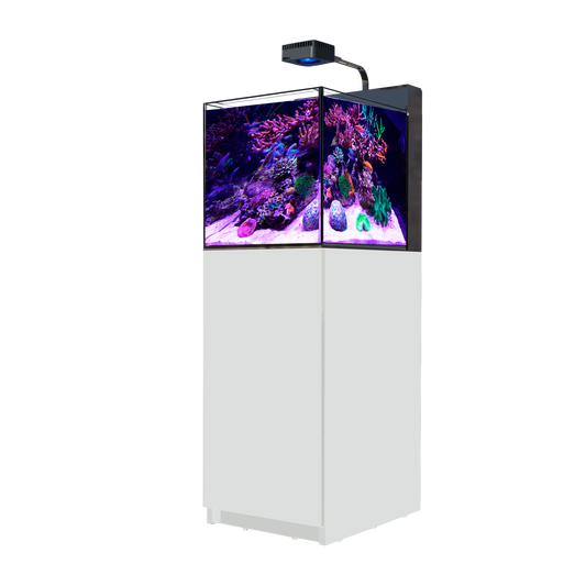 【水槽】レッドシー MAX NANO Peninsula G2 ホワイトセット (60HZ)