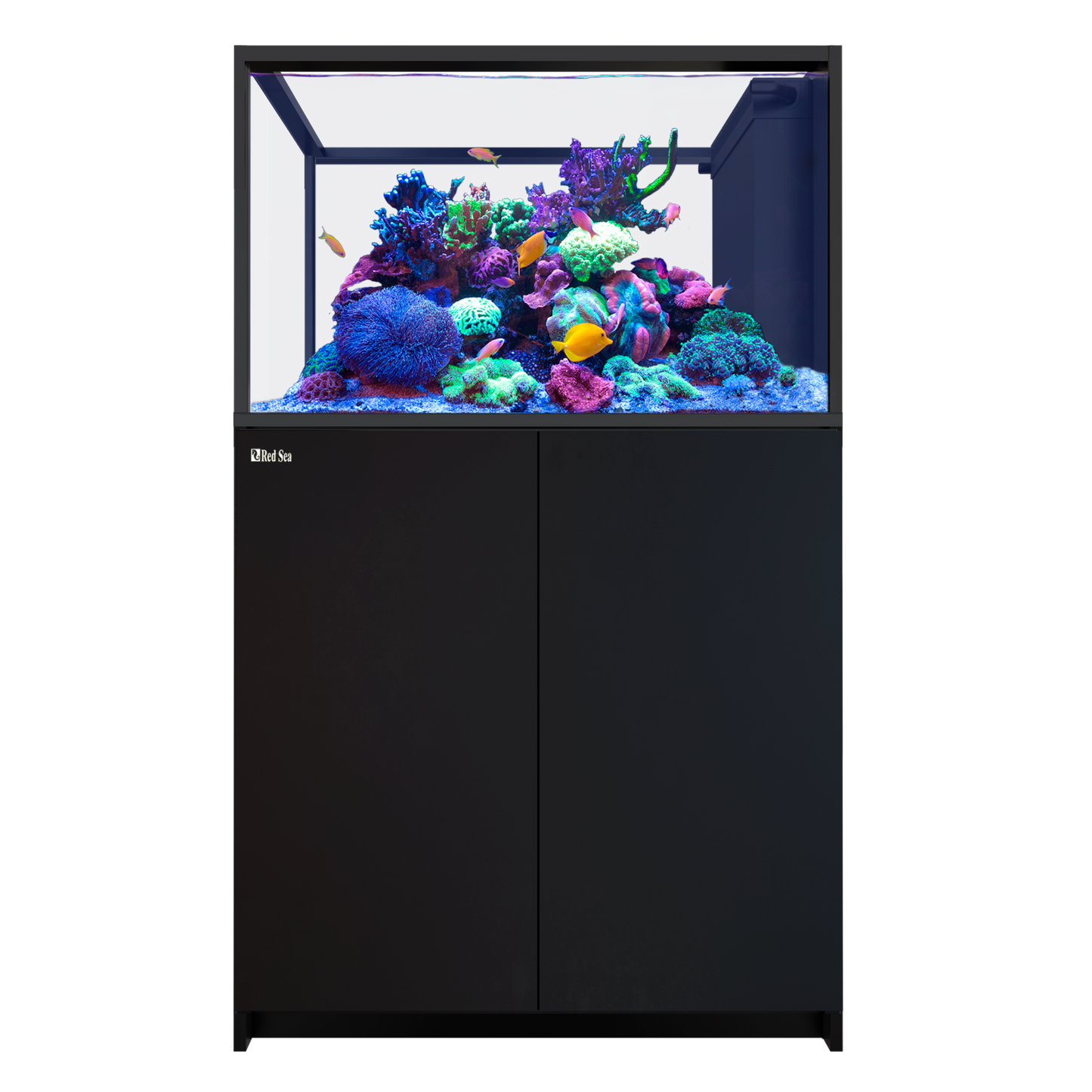 【水槽・受注生産】レッドシー Peninsula 350 G3 ブラック