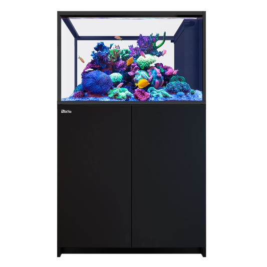 【水槽・受注生産】レッドシー Peninsula 350 G3 ブラック
