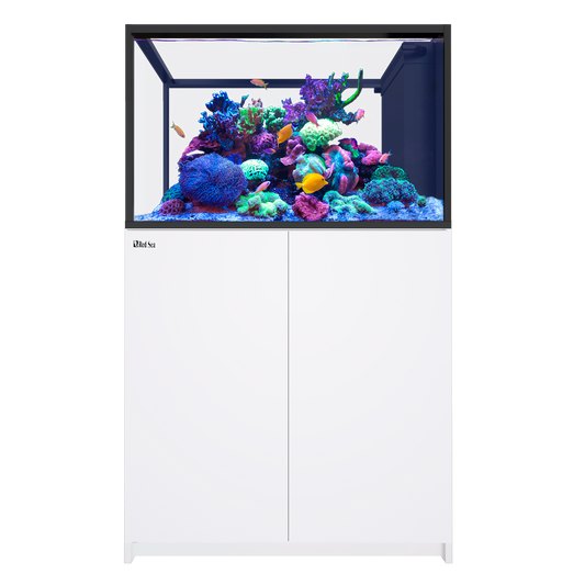 【水槽・受注生産】レッドシー Peninsula 350 G3 ホワイト