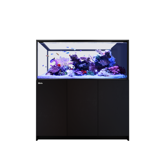 【水槽・受注生産】レッドシー Peninsula S700 G3 DX ブラック (ReefLED 170×3台+ペンダント)