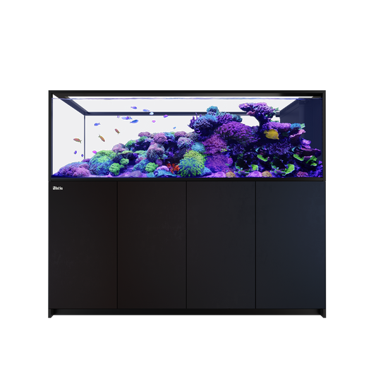 【水槽・受注生産】レッドシー Peninsula S950 G3 ブラック