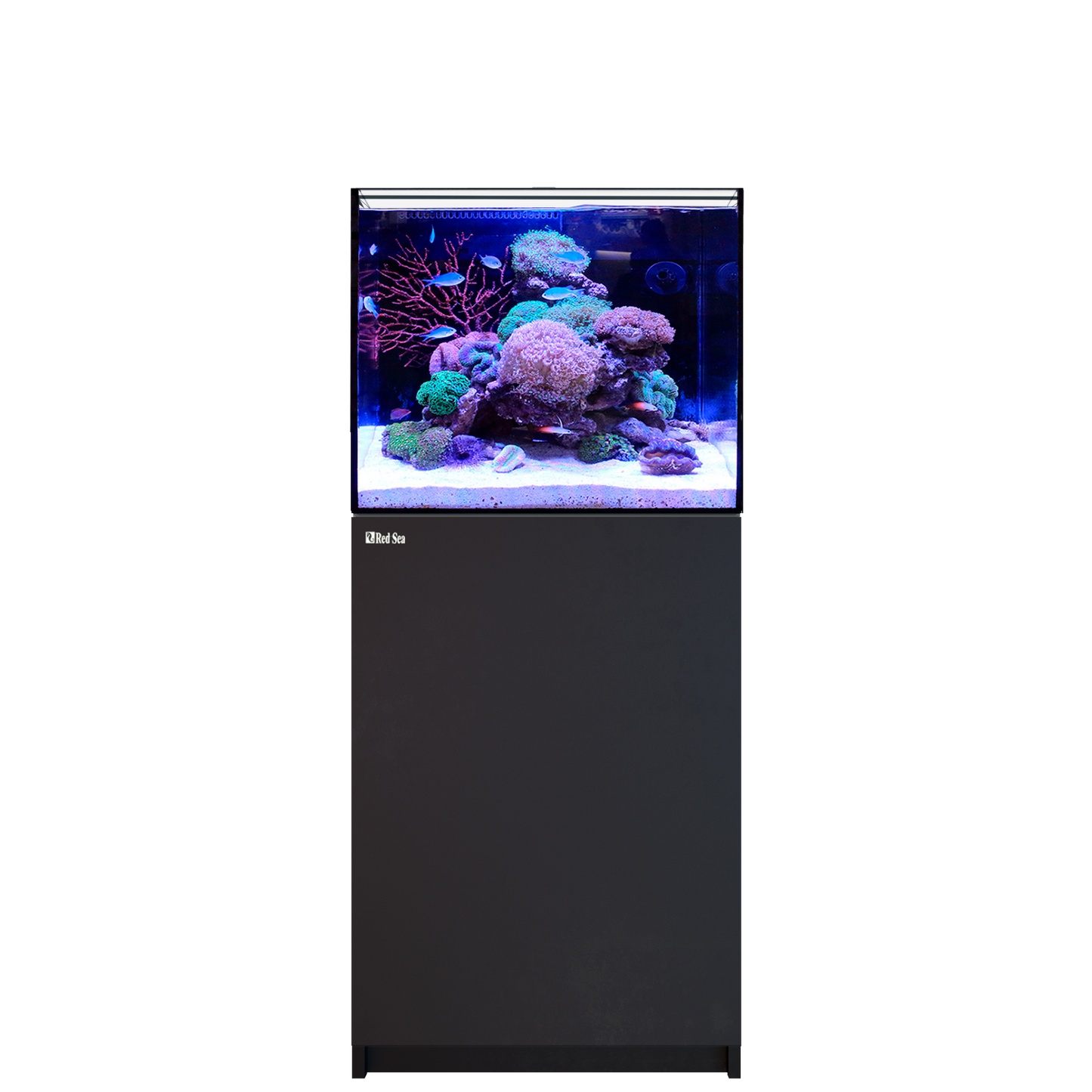 【水槽】レッドシー Reefer 170 G3 DX ブラック (ReefLED 115×1台付属)