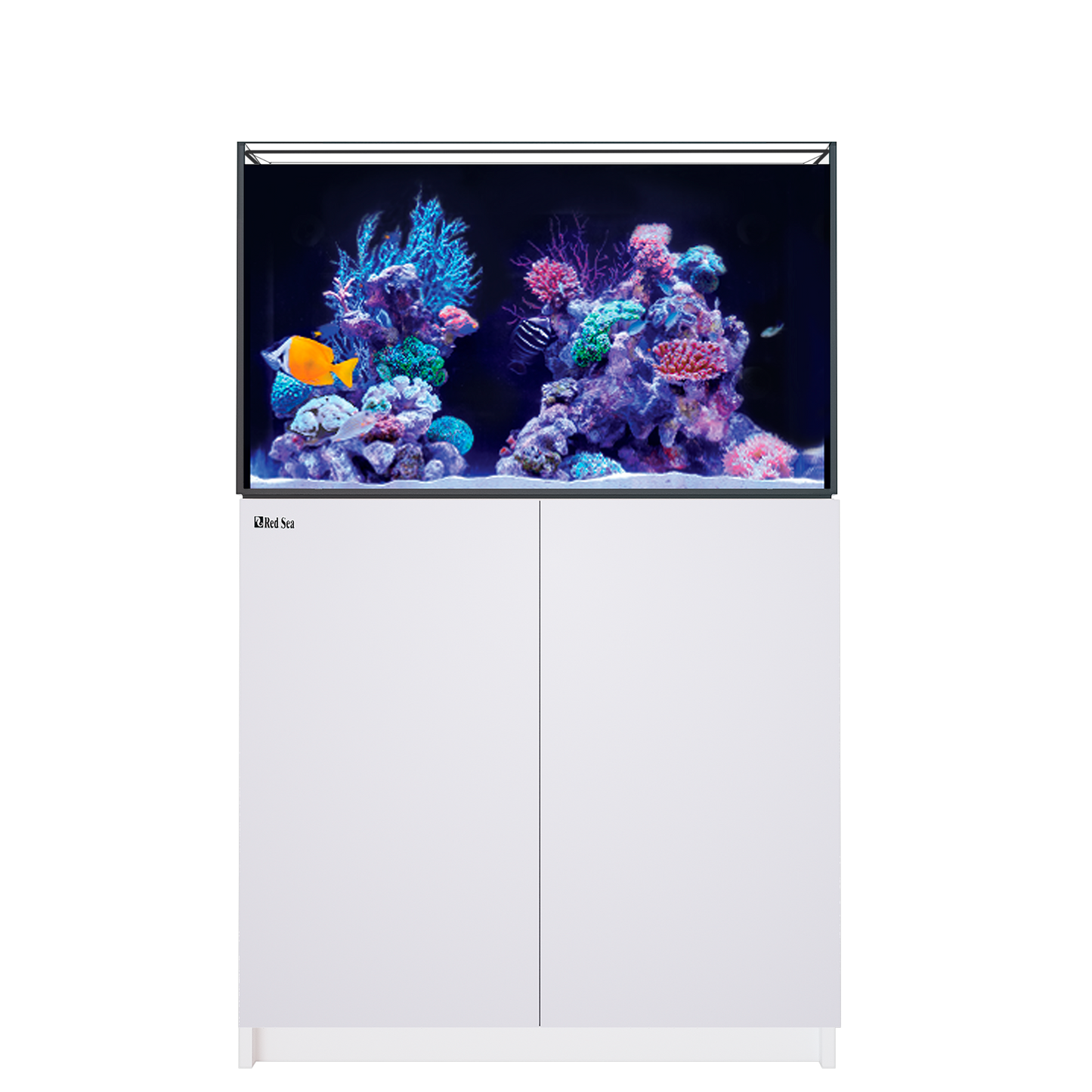 【水槽】レッドシー Reefer 250 G3 ホワイト