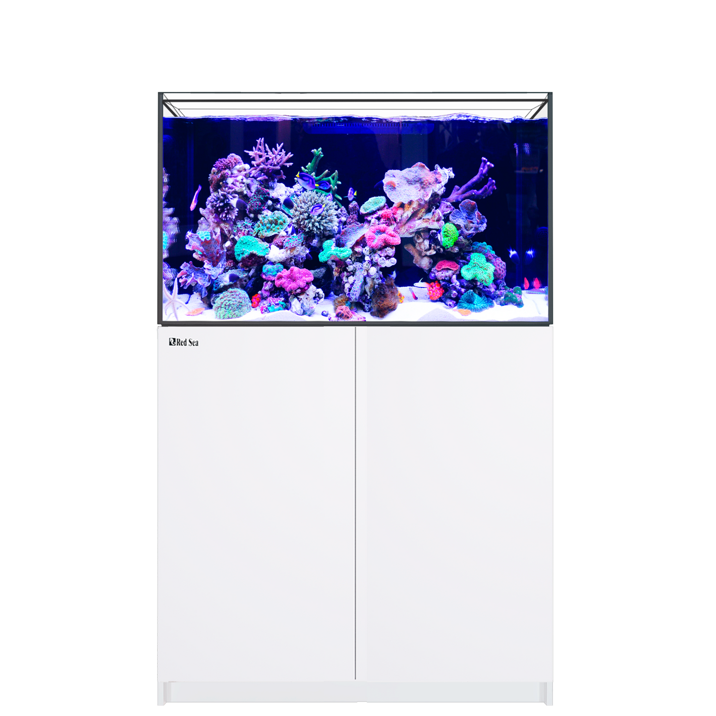【水槽】レッドシー Reefer 300 G3 DX ホワイト (ReefLED 115×2台付属)