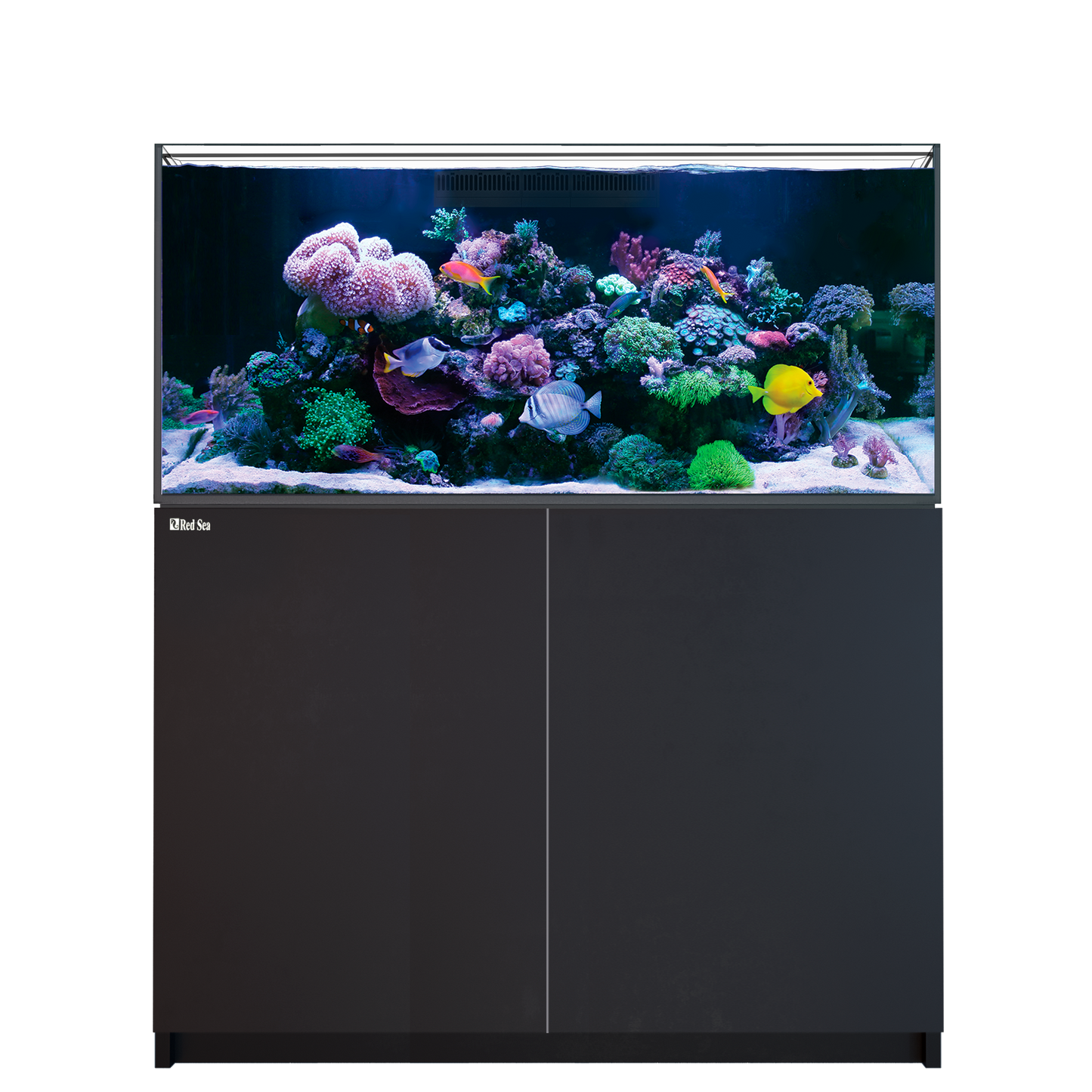 【水槽】レッドシー Reefer 350 G3 ブラック
