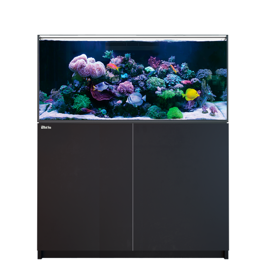 【水槽】レッドシー Reefer 350 G3 ブラック