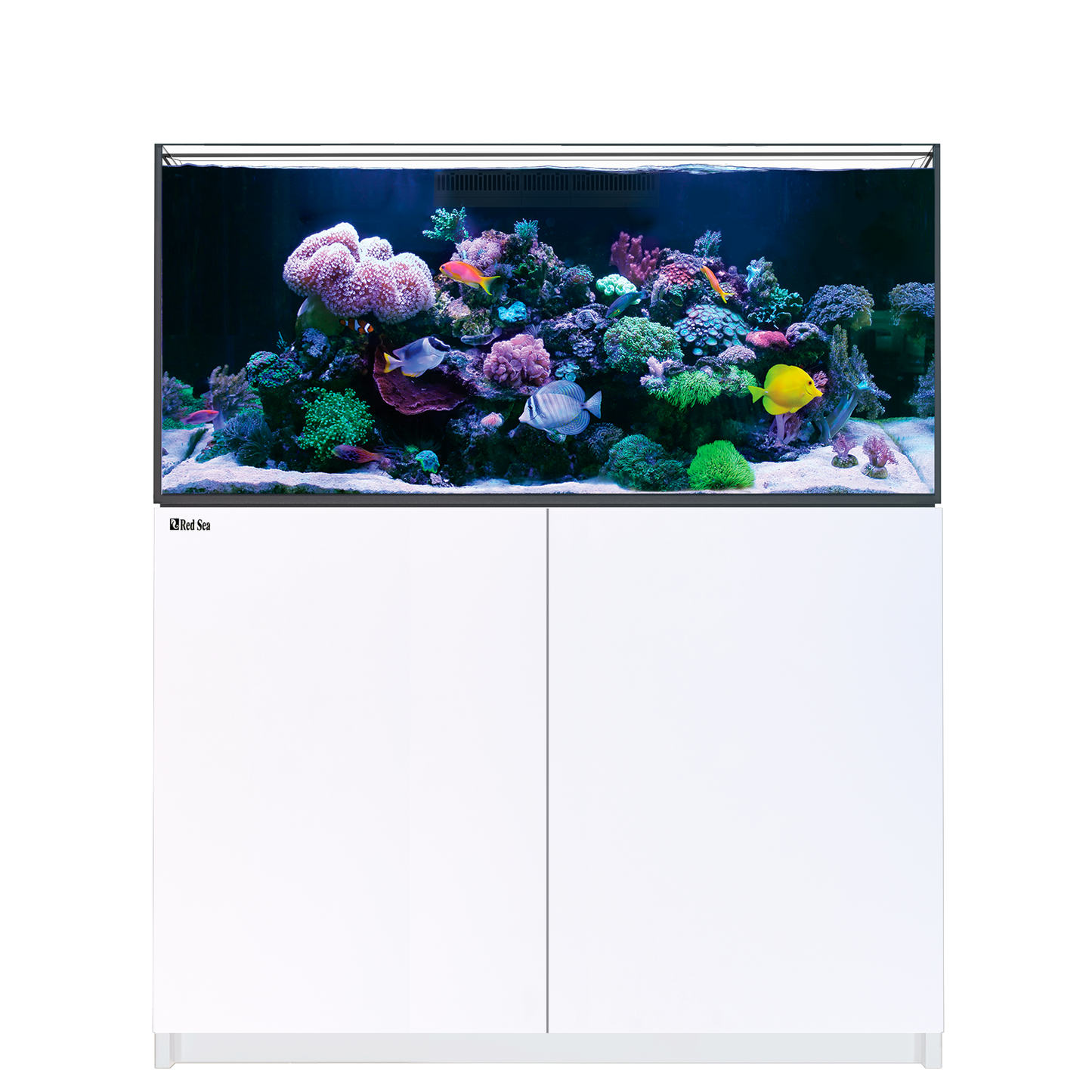 【水槽】レッドシー Reefer 350 G3 DX ホワイト (ReefLED 115×2台付属)