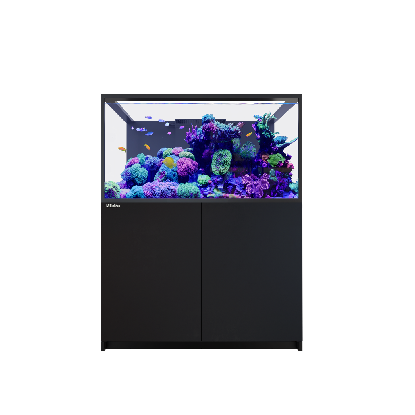 【水槽・受注生産】レッドシー Reefer S550 G3 ブラック