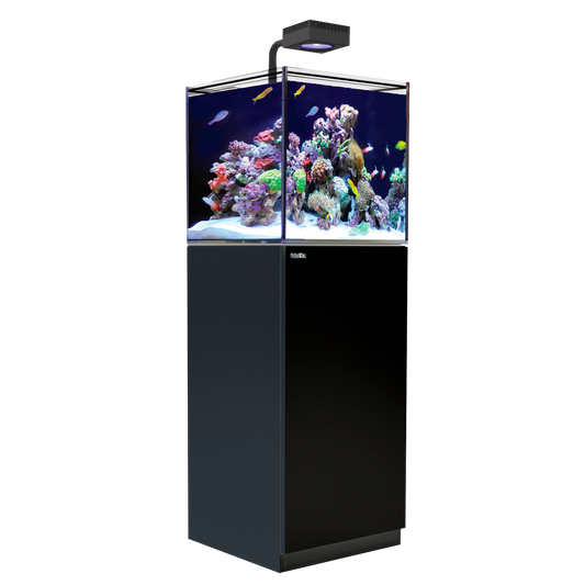 【水槽】レッドシー Reefer Nano DX ブラック (ReefLED 60×1台付属)