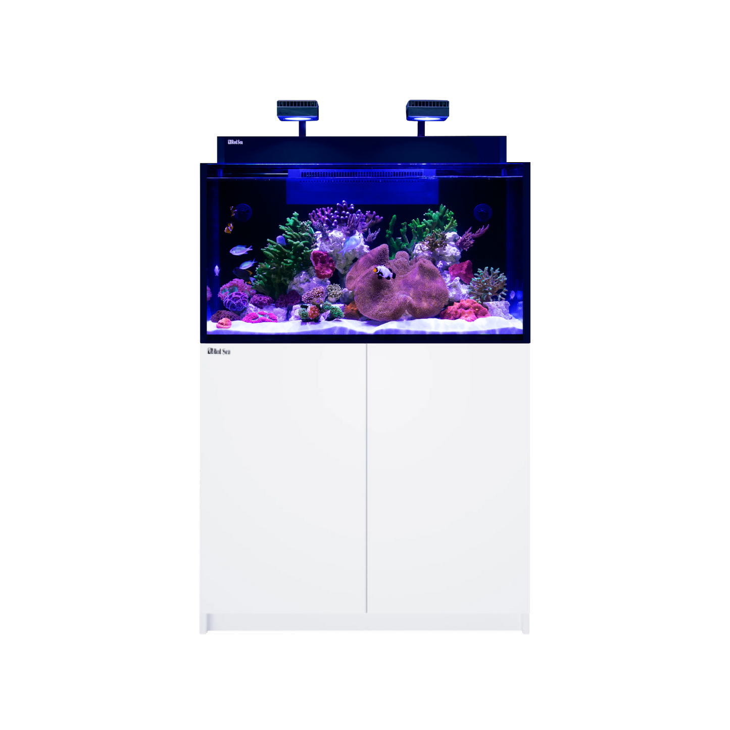 【水槽・受注生産】レッドシー MAX NANO XXL G2 ホワイトセット (50HZ)