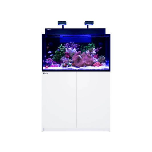 【水槽・受注生産】レッドシー MAX NANO XXL G2 ホワイトセット (50HZ)