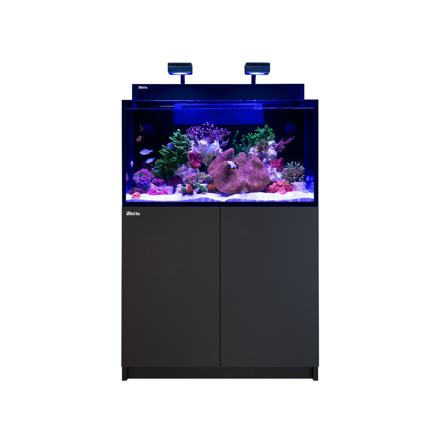 【水槽・受注生産】レッドシー MAX NANO XXL G2 ブラックセット (60HZ)