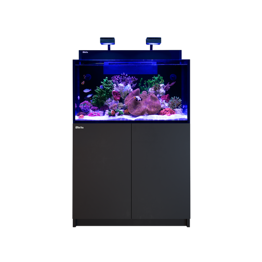 【水槽・受注生産】レッドシー MAX NANO XXL G2 ブラックセット (60HZ)