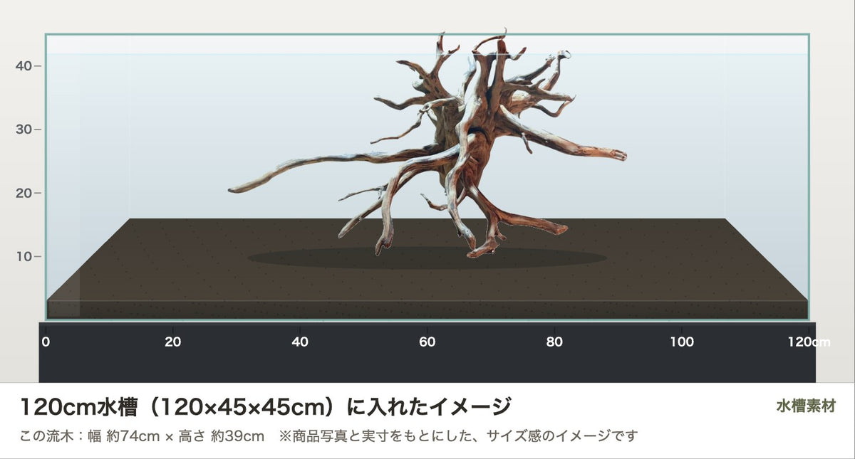 エレファントウッドXXL #32を120cm水槽（120×45×45cm）に入れたサイズ感のイメージ