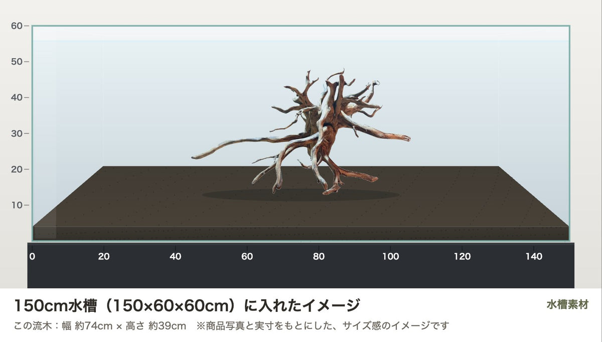 エレファントウッドXXL #32を150cm水槽（150×60×60cm）に入れたサイズ感のイメージ
