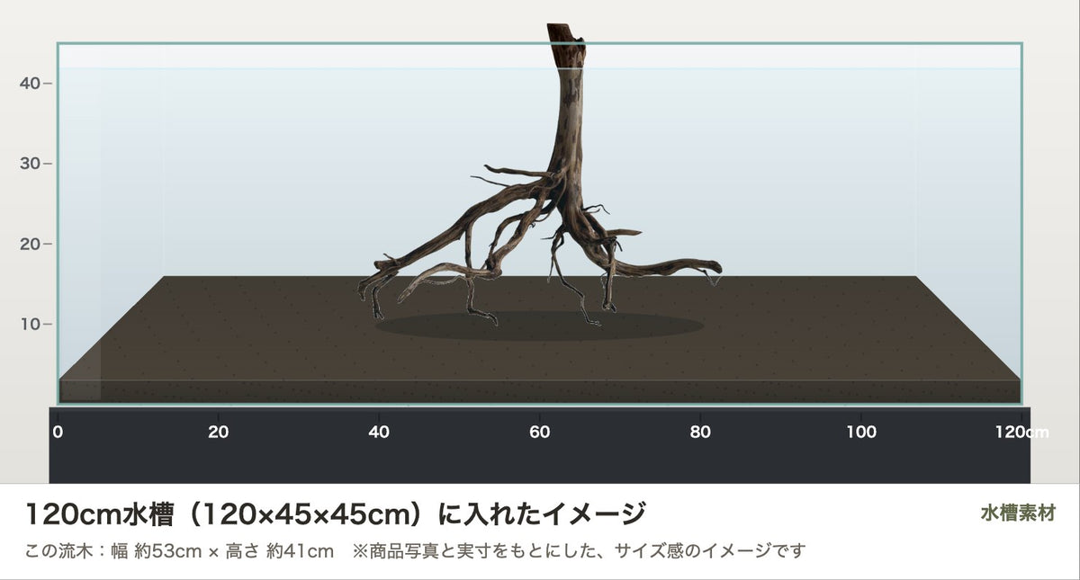 エレファントウッドXL #39を120cm水槽（120×45×45cm）に入れたサイズ感のイメージ