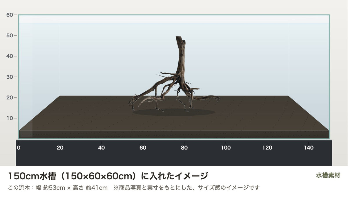 エレファントウッドXL #39を150cm水槽（150×60×60cm）に入れたサイズ感のイメージ