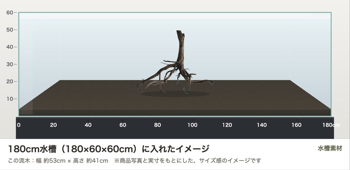 エレファントウッドXL #39を180cm水槽（180×60×60cm）に入れたサイズ感のイメージ