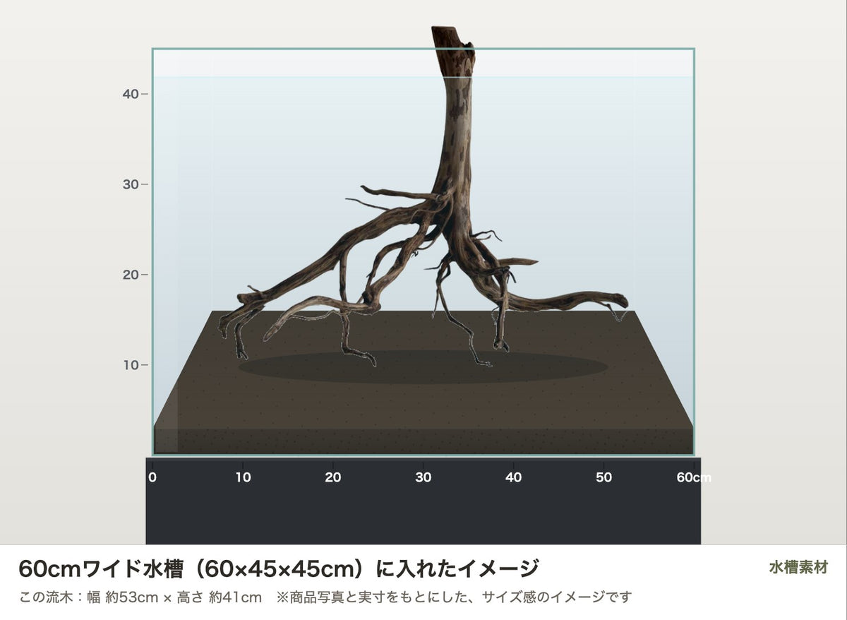 エレファントウッドXL #39を60cmワイド水槽（60×45×45cm）に入れたサイズ感のイメージ