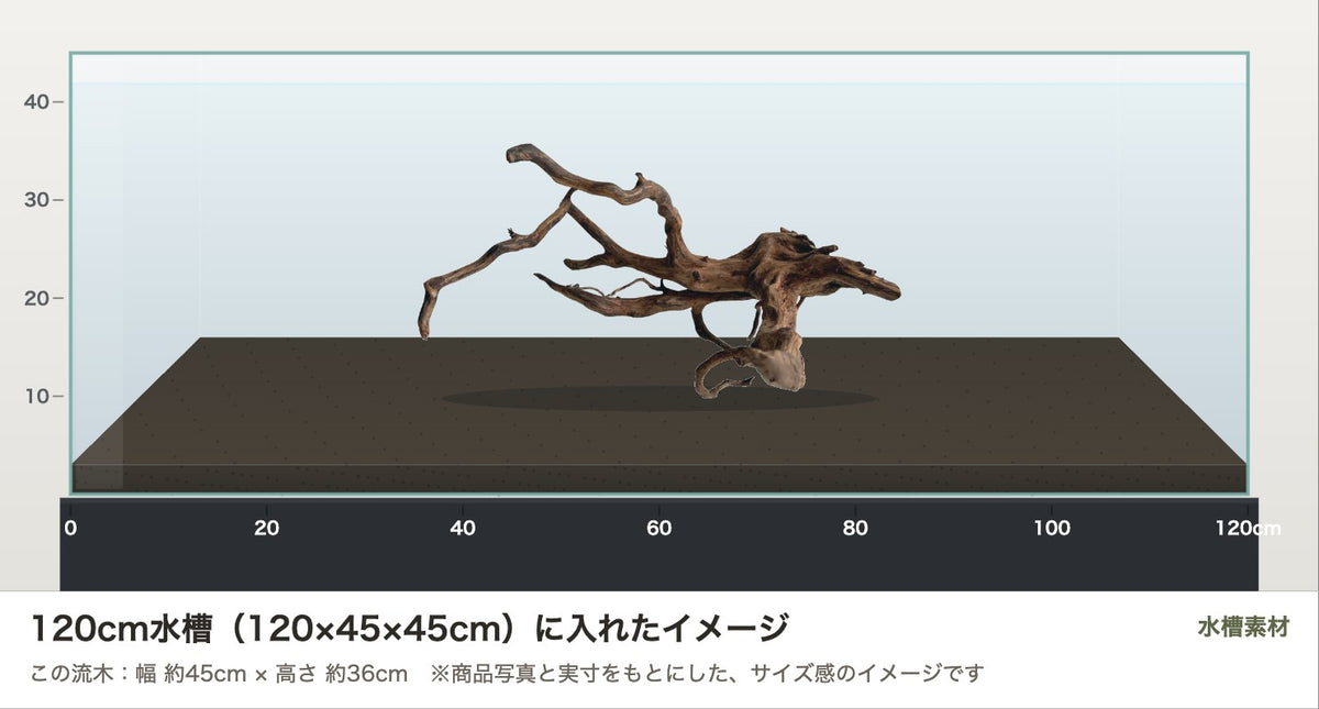 エレファントウッドXL #42を120cm水槽（120×45×45cm）に入れたサイズ感のイメージ