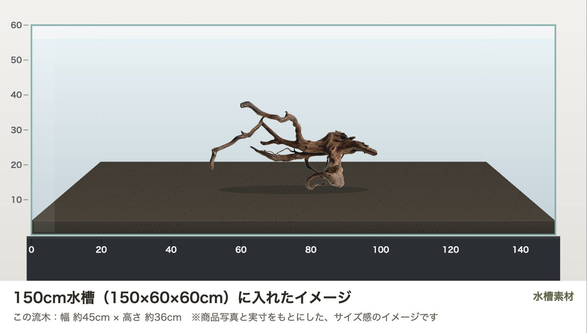エレファントウッドXL #42を150cm水槽（150×60×60cm）に入れたサイズ感のイメージ