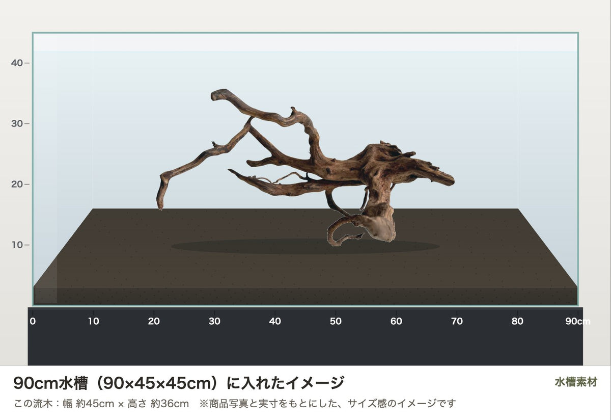 エレファントウッドXL #42を90cm水槽（90×45×45cm）に入れたサイズ感のイメージ