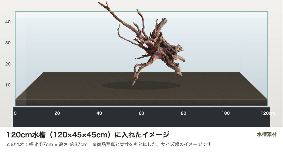 エレファントウッドXL #44を120cm水槽（120×45×45cm）に入れたサイズ感のイメージ