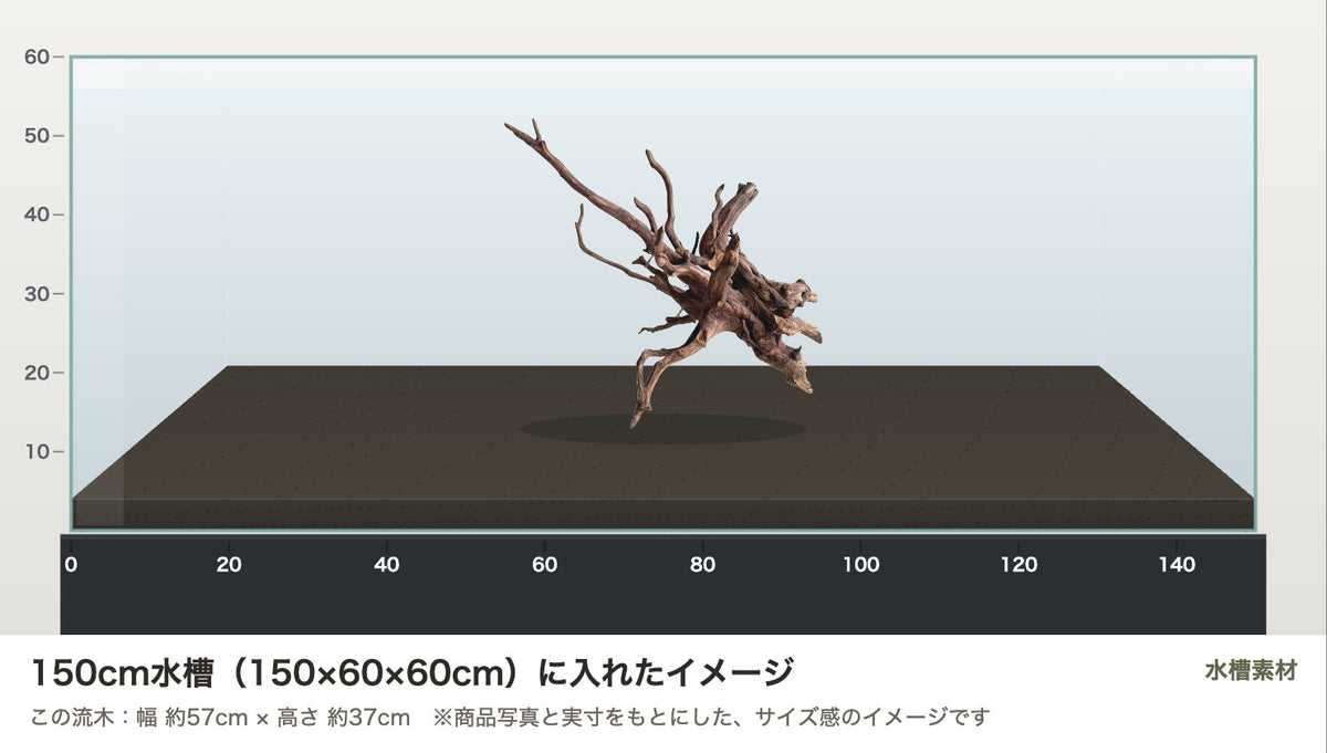 エレファントウッドXL #44を150cm水槽（150×60×60cm）に入れたサイズ感のイメージ
