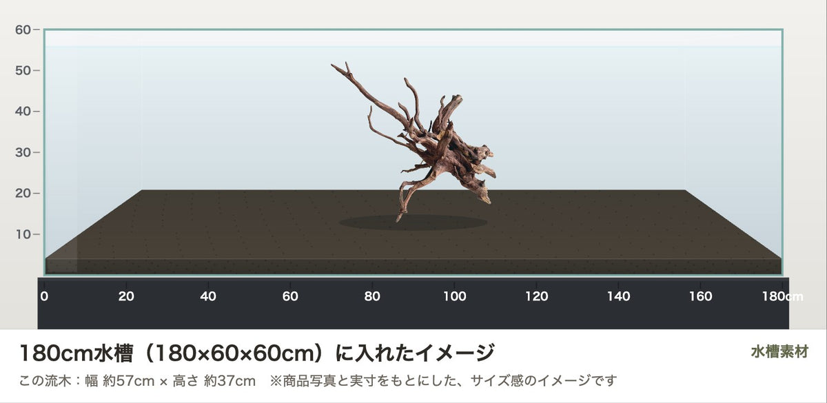 エレファントウッドXL #44を180cm水槽（180×60×60cm）に入れたサイズ感のイメージ
