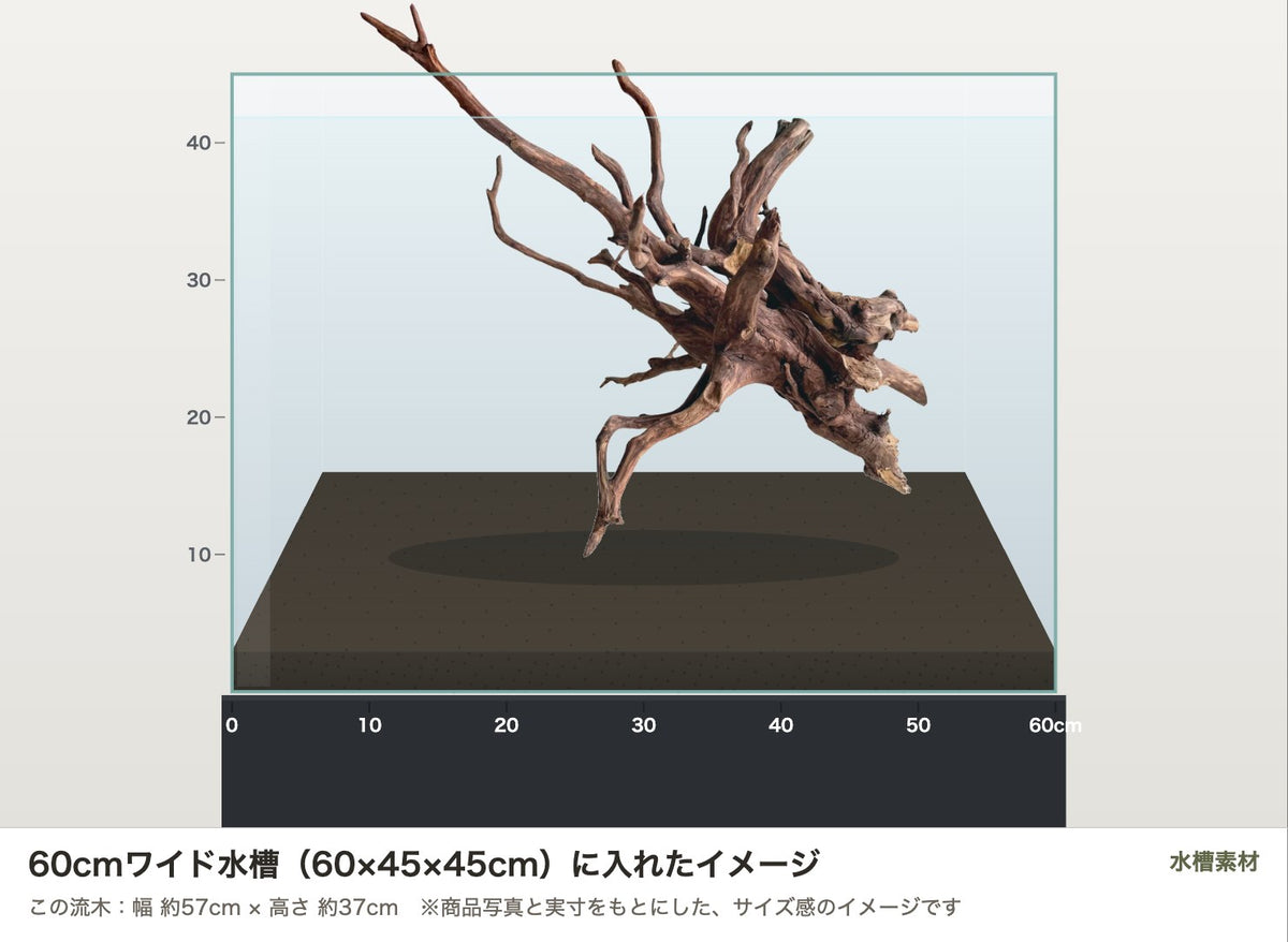 エレファントウッドXL #44を60cmワイド水槽（60×45×45cm）に入れたサイズ感のイメージ