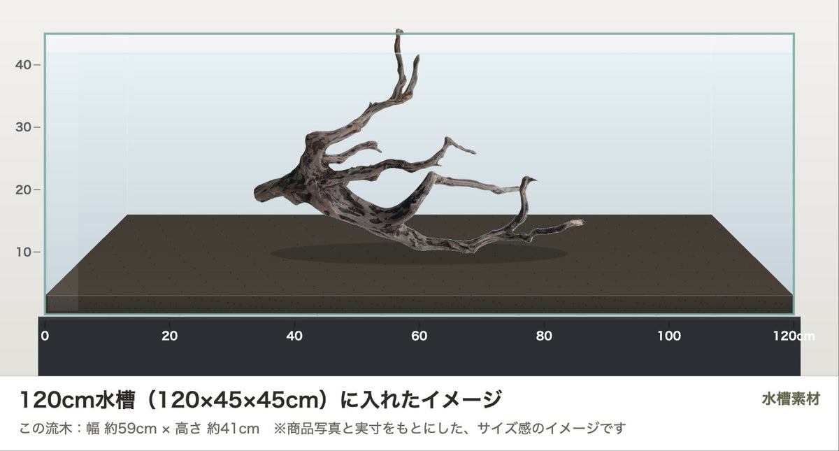 エレファントウッドXXL #45を120cm水槽（120×45×45cm）に入れたサイズ感のイメージ