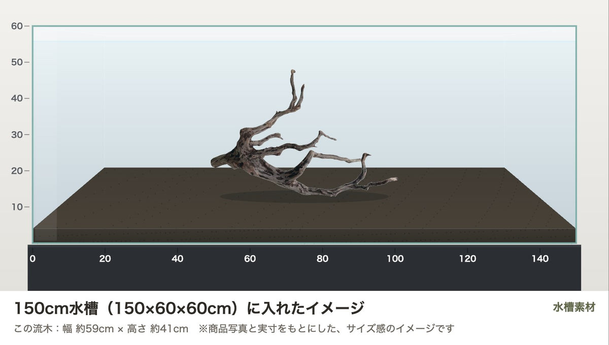 エレファントウッドXXL #45を150cm水槽（150×60×60cm）に入れたサイズ感のイメージ
