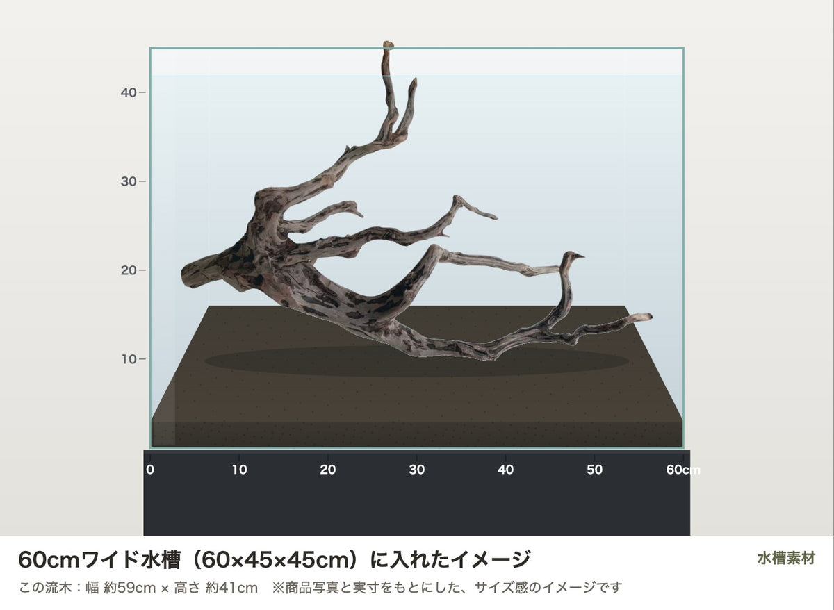 エレファントウッドXXL #45を60cmワイド水槽（60×45×45cm）に入れたサイズ感のイメージ