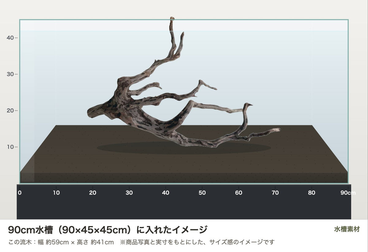 エレファントウッドXXL #45を90cm水槽（90×45×45cm）に入れたサイズ感のイメージ