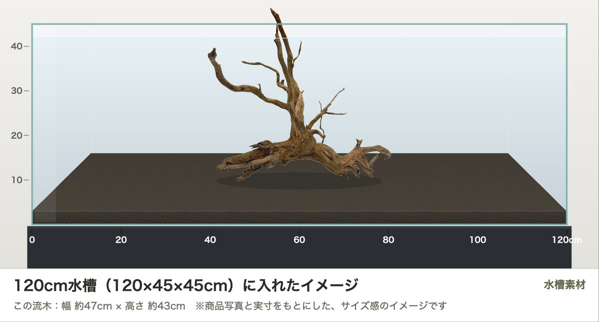 エレファントウッドXL #48を120cm水槽（120×45×45cm）に入れたサイズ感のイメージ