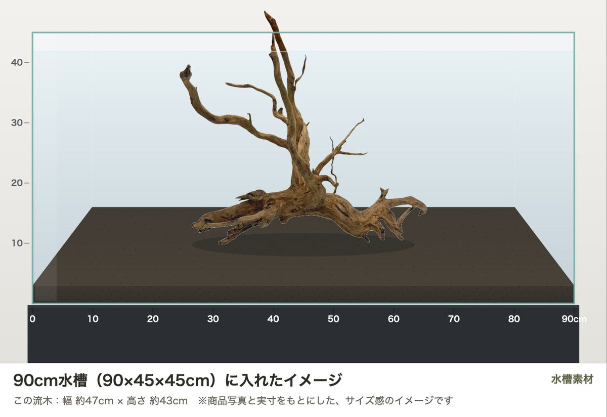エレファントウッドXL #48を90cm水槽（90×45×45cm）に入れたサイズ感のイメージ