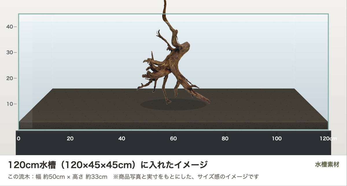 エレファントウッドXL #49を120cm水槽（120×45×45cm）に入れたサイズ感のイメージ