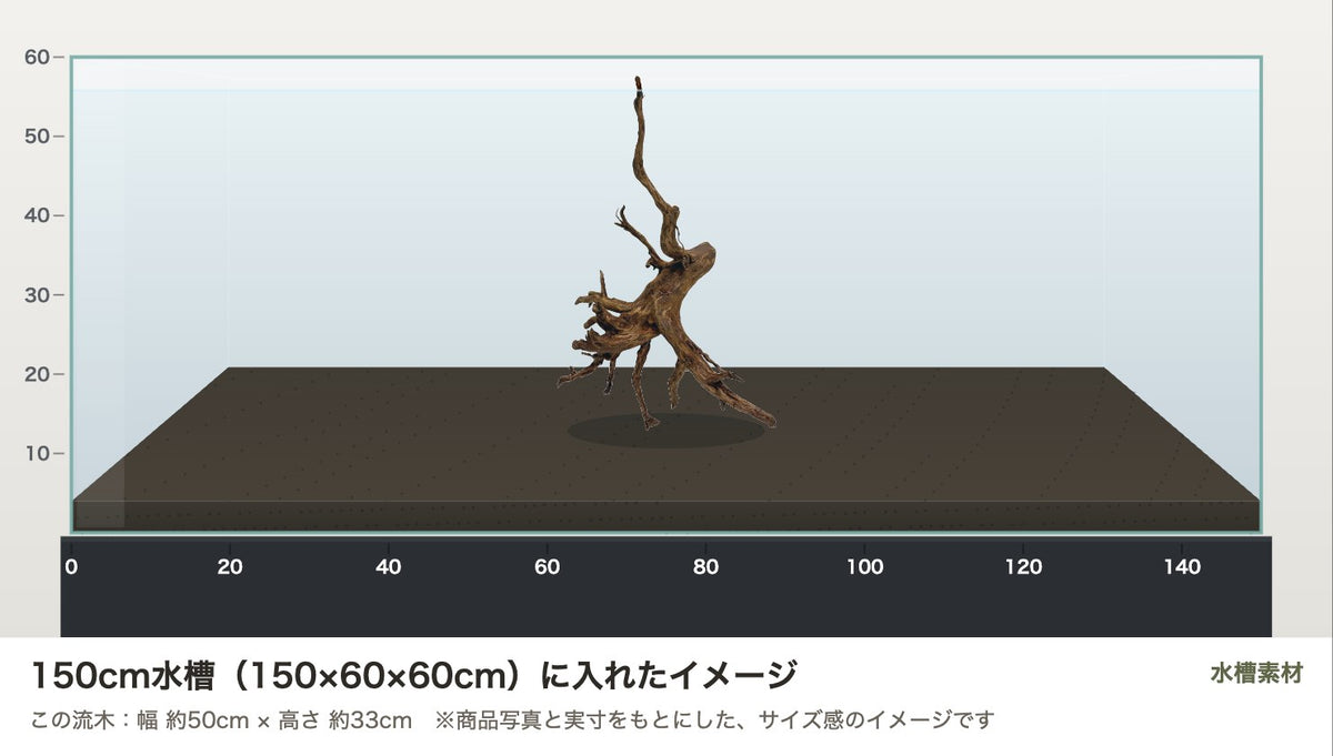 エレファントウッドXL #49を150cm水槽（150×60×60cm）に入れたサイズ感のイメージ