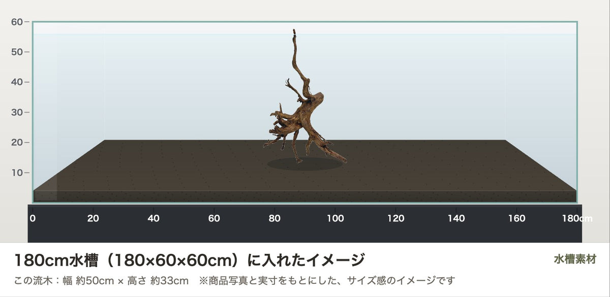 エレファントウッドXL #49を180cm水槽（180×60×60cm）に入れたサイズ感のイメージ