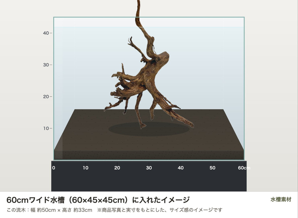 エレファントウッドXL #49を60cmワイド水槽（60×45×45cm）に入れたサイズ感のイメージ