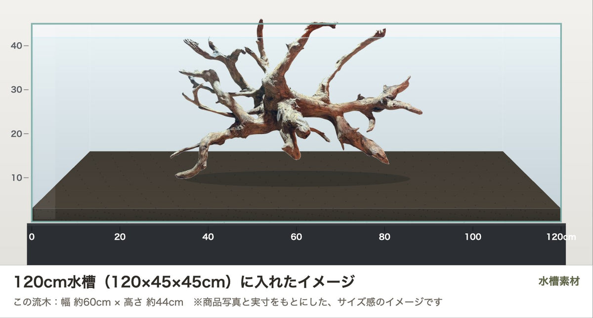 エレファントウッドXXL #30を120cm水槽（120×45×45cm）に入れたサイズ感のイメージ